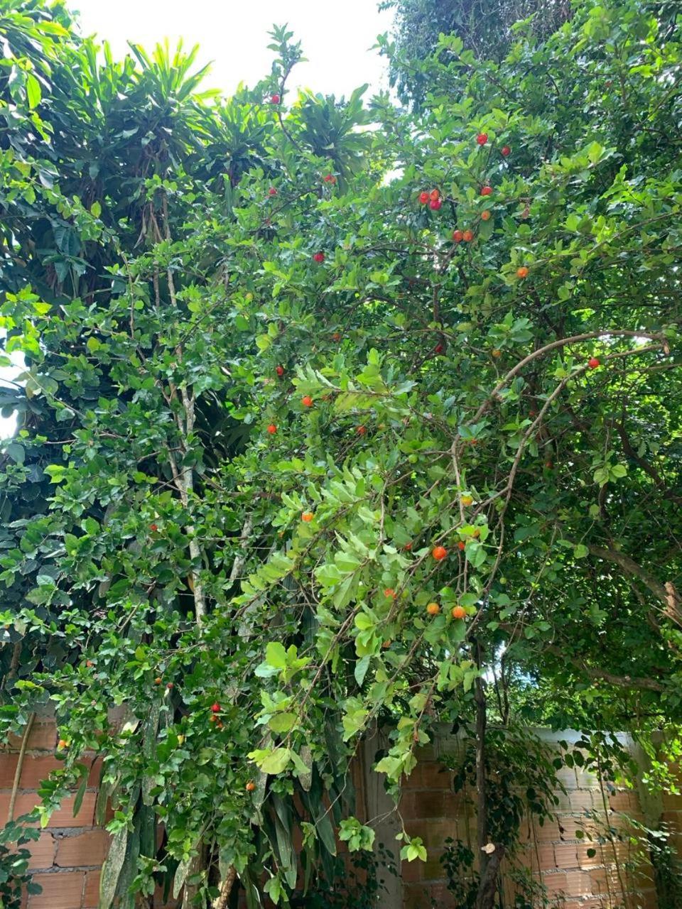 Bangalo Arco Iris Holiday home Trancoso